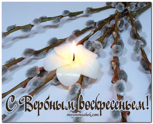 Анастасия Килина | Тюмень