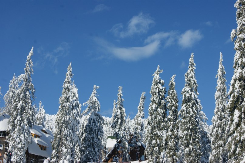 Валюха Кияница | Обухов