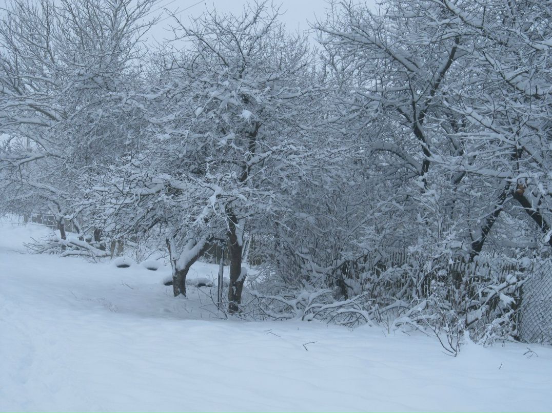 Андрей Арсенович Григорьевич | Херсон