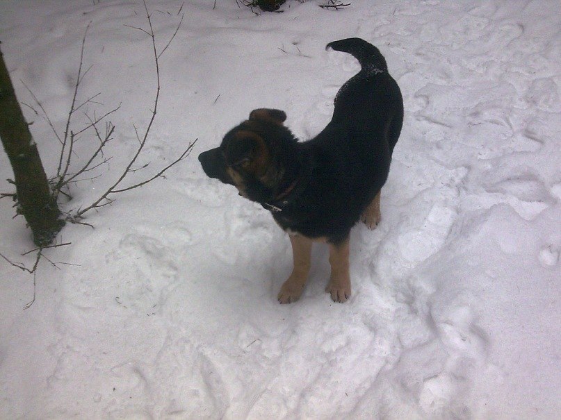 Паша Никулочкин Face-control | Калуга