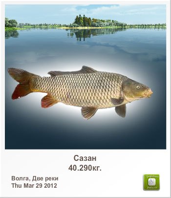 Алексей Кашкин | Уфа