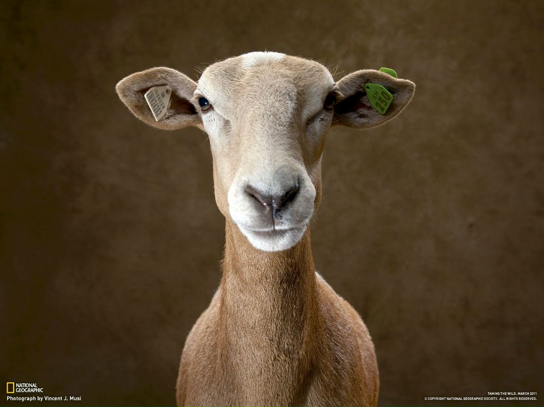 Максим Полотовский | Самара