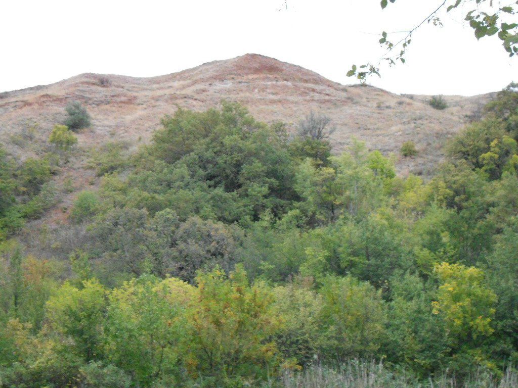 Александр Дедов | Шахты