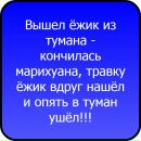 №4 Катерина Журавлева 09.07.1998: профиль, фото, статус - ВКонтакте