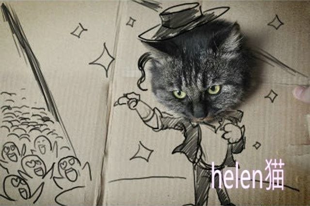 Сергей Козлов | Новосибирск