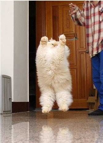 Анастасия Соколова | Санкт-Петербург