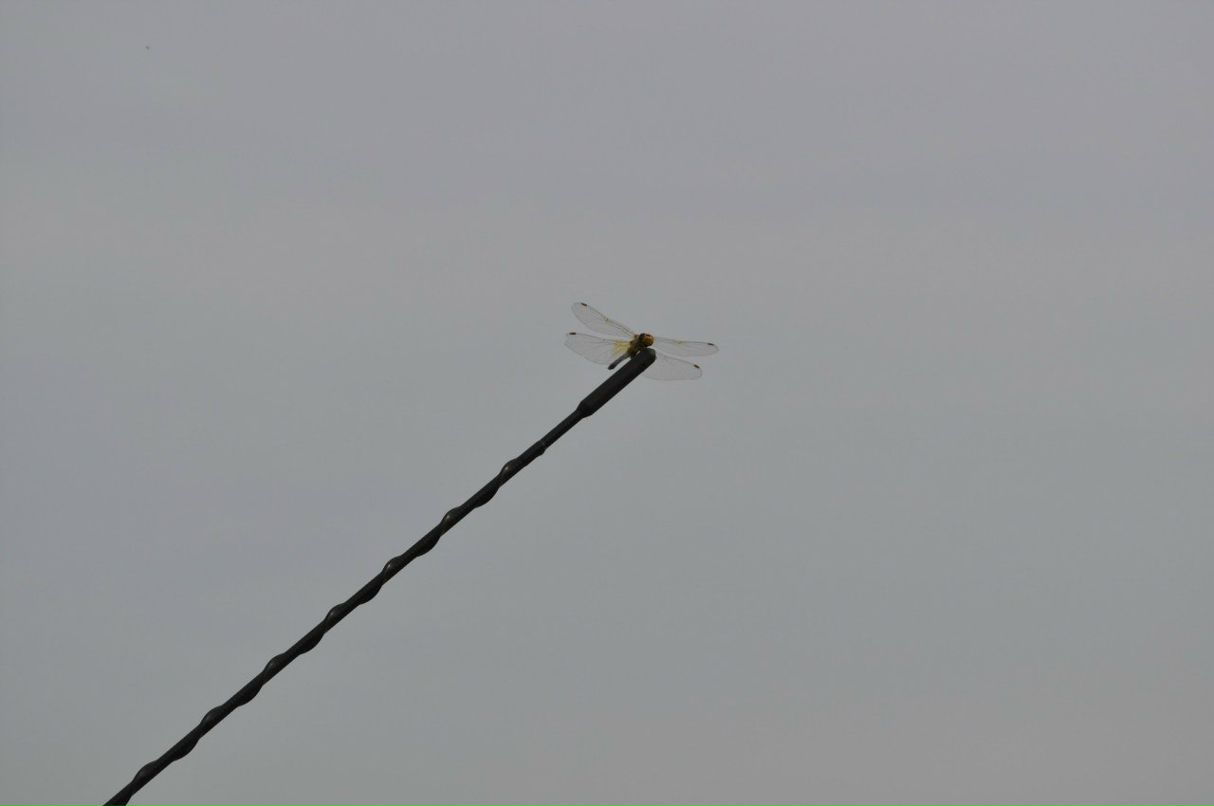 Ксения Столбова | Москва