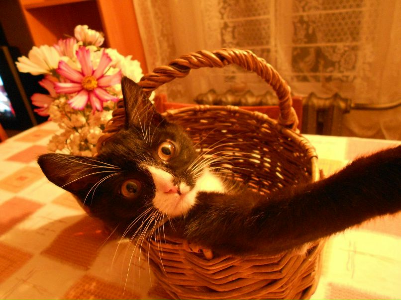 Светлана Смирнова | Сыктывкар