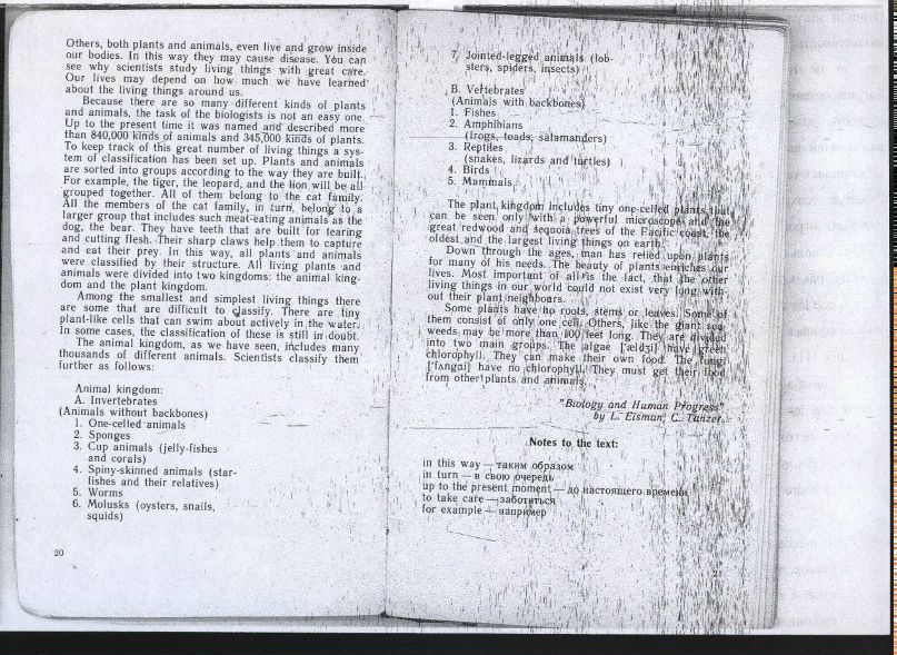 Евгения Курмашова | Казань