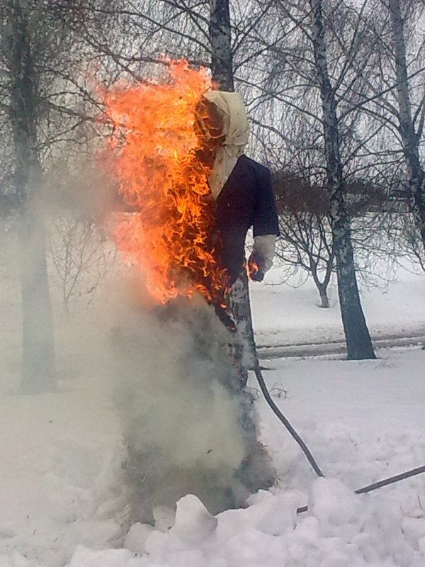 Сергей Власюк | 