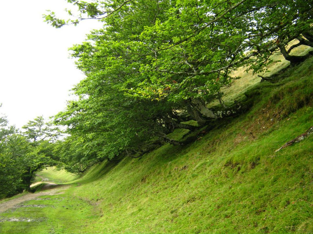 Светлана Иванова | Санкт-Петербург