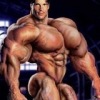 Аватар: Dima Maqammedov