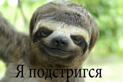 LeffKa Siyanov | Москва