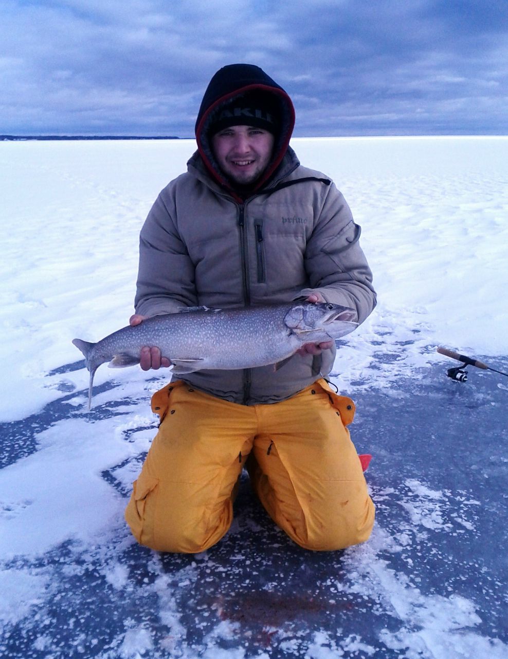 Кирилл Цыцак | Toronto