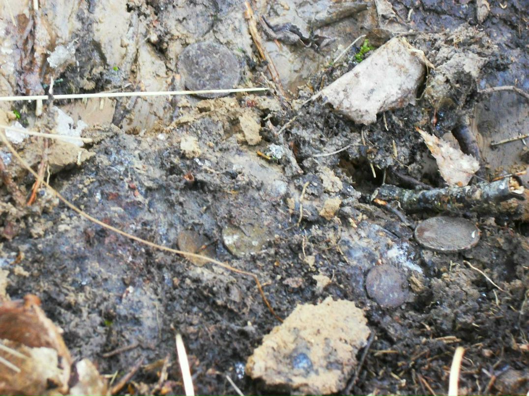 Максим Смирнов | Можайск