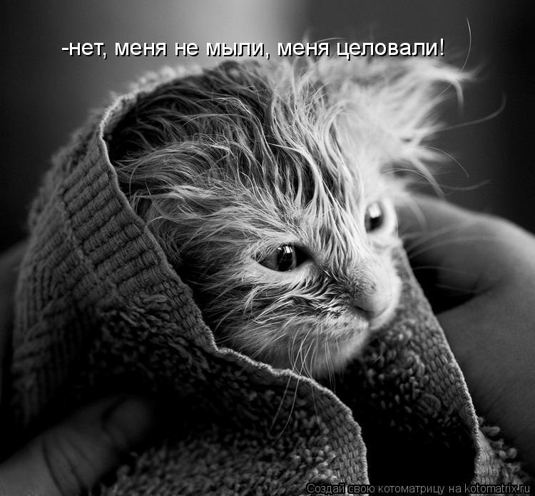 Ольга Козьякова | Санкт-Петербург