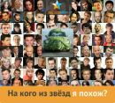 Фотография Миша Сергеев
