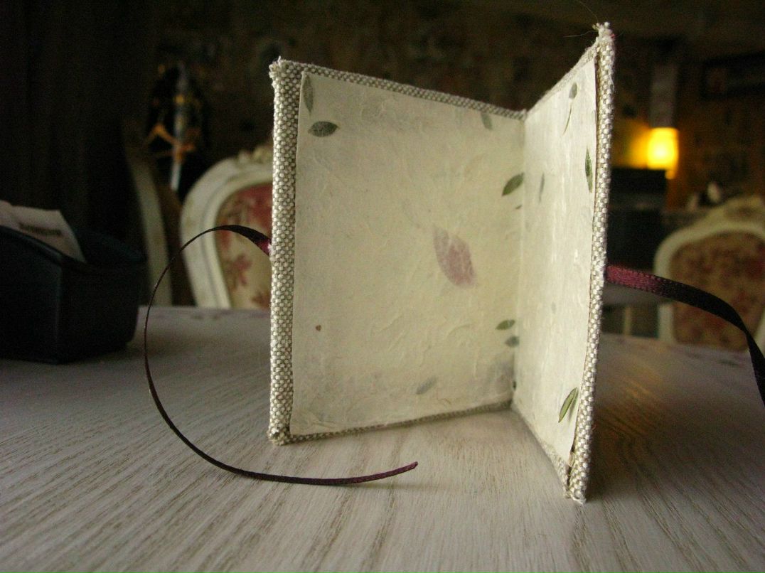 Ксения Циголик | Херсон