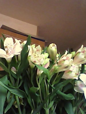 Антонина Бикарюк | Санкт-Петербург