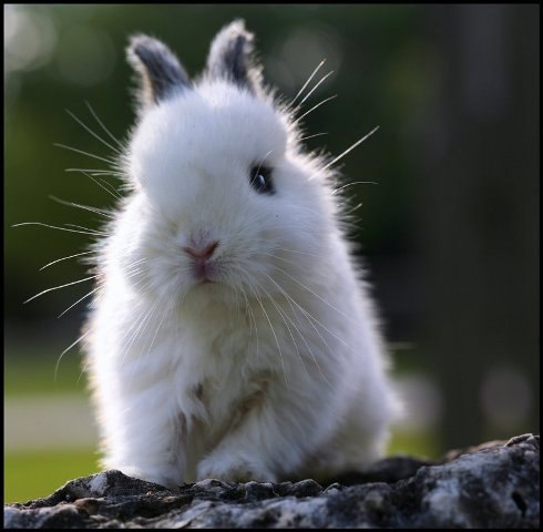 Серёжа Мозес | Санкт-Петербург