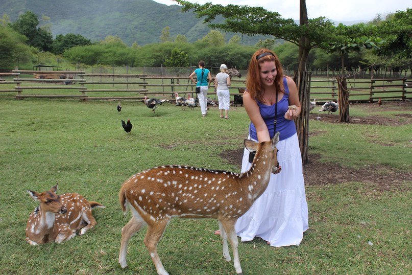 Аня Андрюнина-Эльтекова | Домодедово