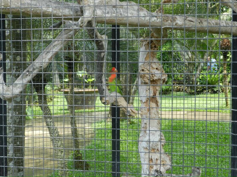 Ринат Шарафеев | Казань