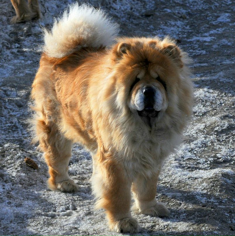 Nikolay Rutov | Сыктывкар