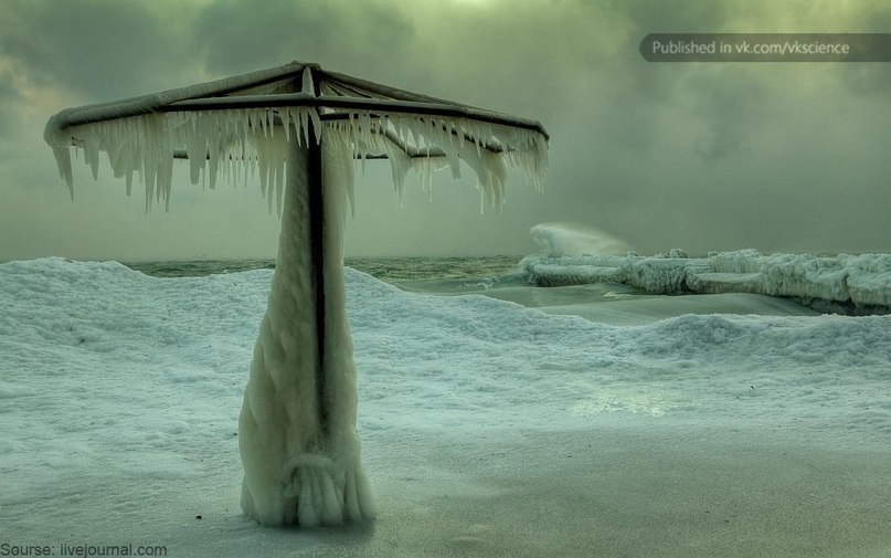 Надежда Рюмина | Мурманск