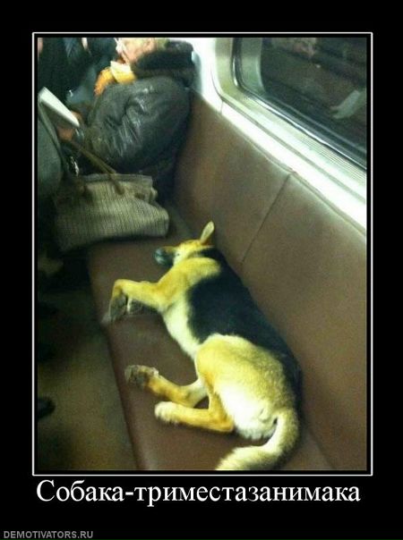 №89, Дмитрий Жердецкий, 39 лет, Одесса №89, Дмитрий Жердецкий, 39 лет, Одесса