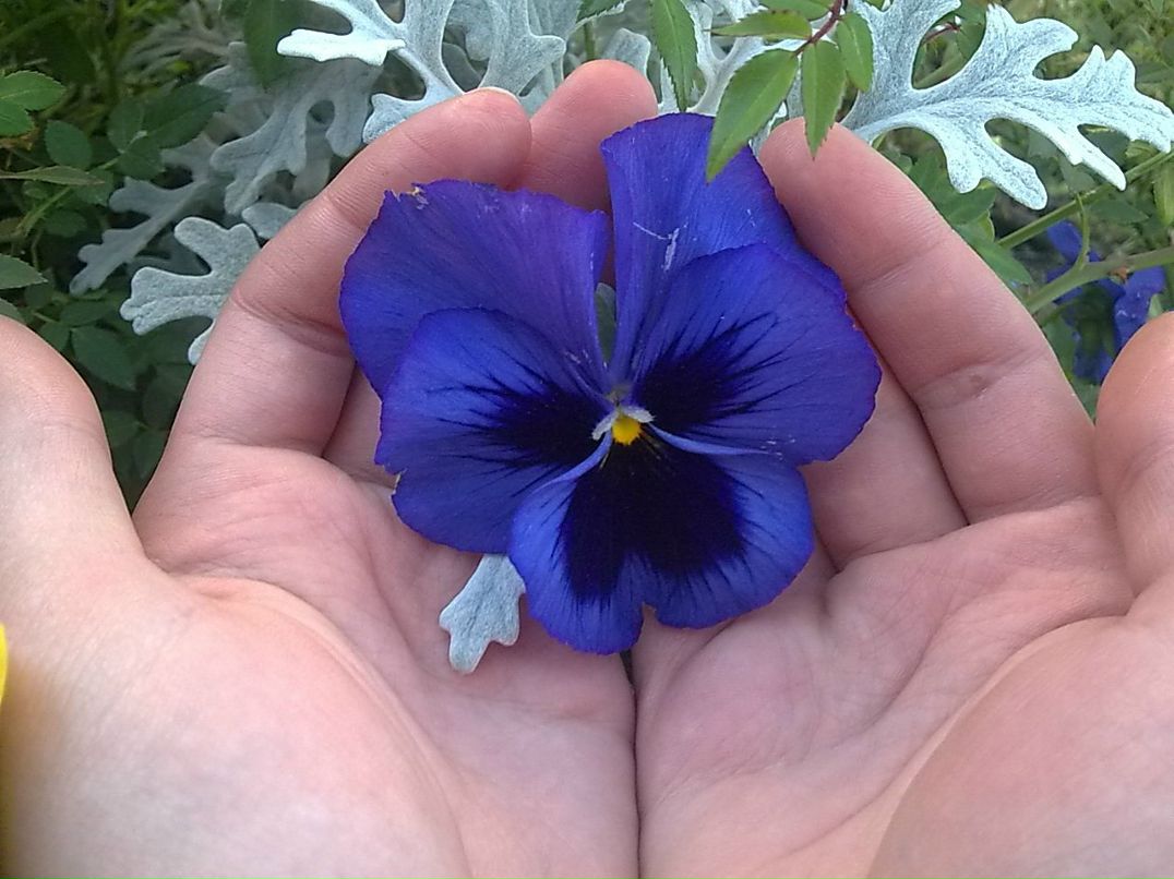 Мария Калашникова | Южно-Сахалинск