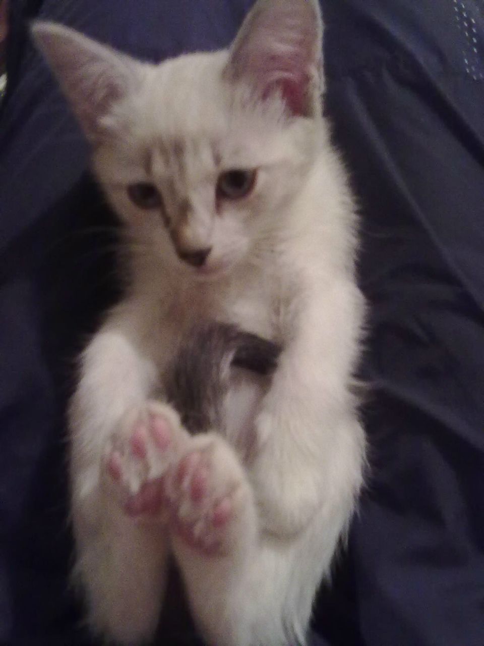 Константин Журавлёв Валерьевич | Магнитогорск