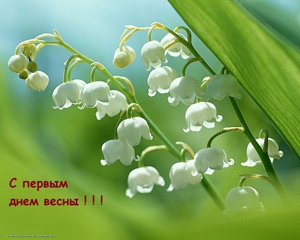 Таня Яковлева | Троицко-Печорск