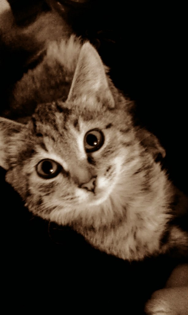 Olga Mironova | Ульяновск