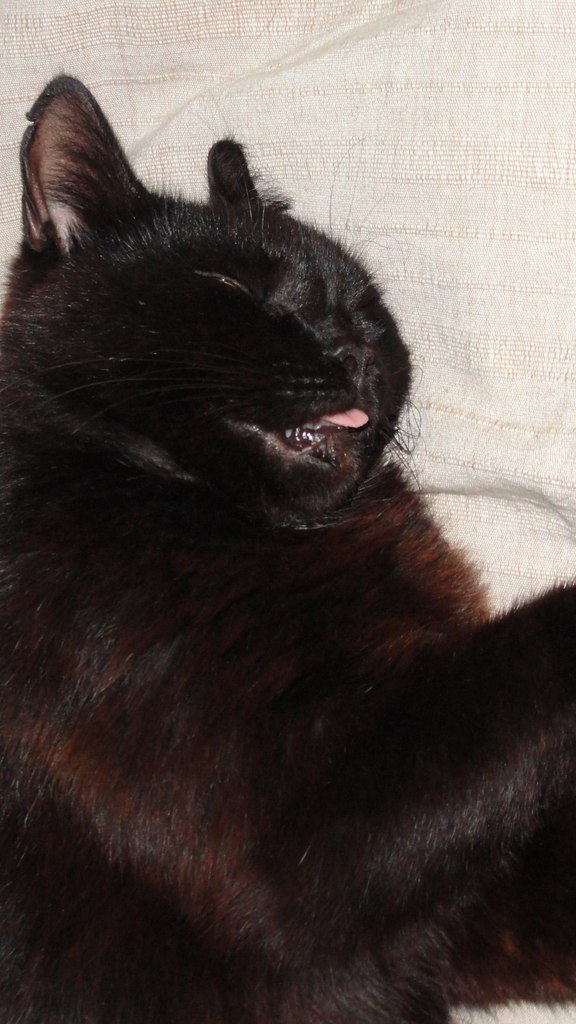 Ivan Anikin | Санкт-Петербург