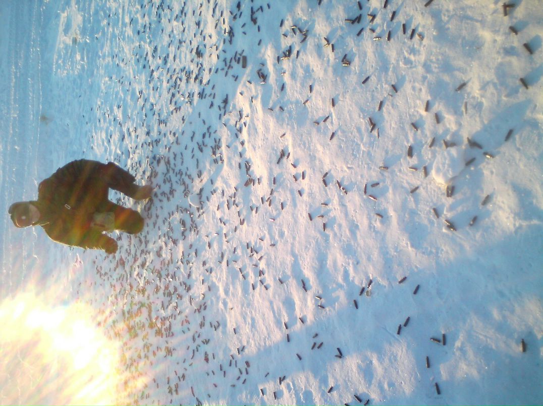 Дмитрий Соков Александрович | Нижний Новгород