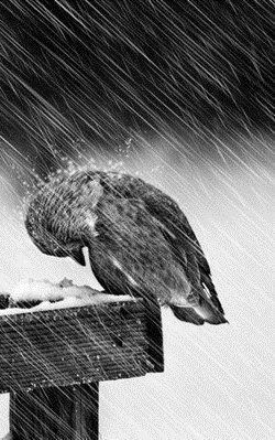 Фадис Сагитов | Уфа