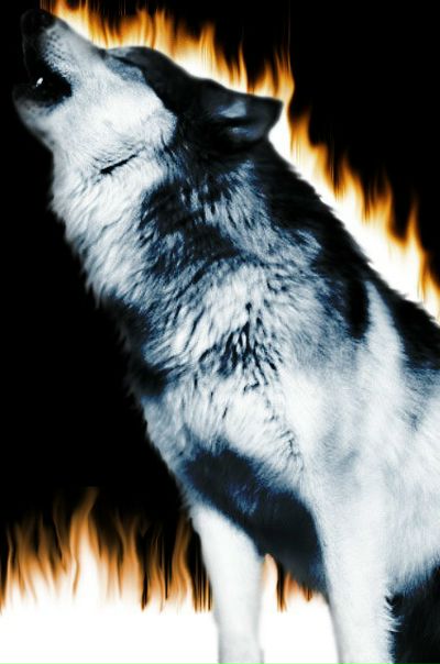 №157, Martin Stain, 35 лет, Токи №157, Martin Stain, 35 лет, Токи