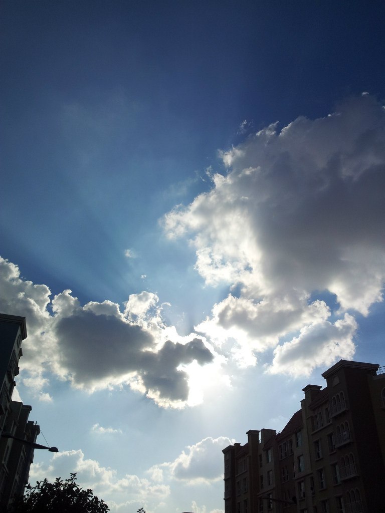 Юрий Джедай | Новосибирск