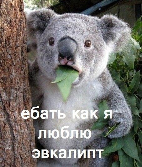 Денис Сытин | 