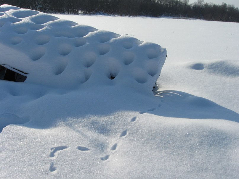 Татьяна Борисова | 