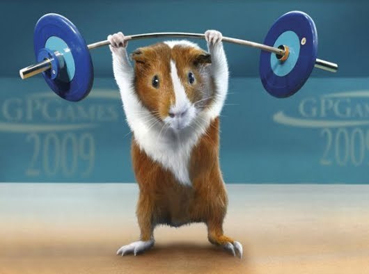 Sergei Khan | Херсон