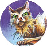 №9, Оля Бехер №9, Оля Бехер