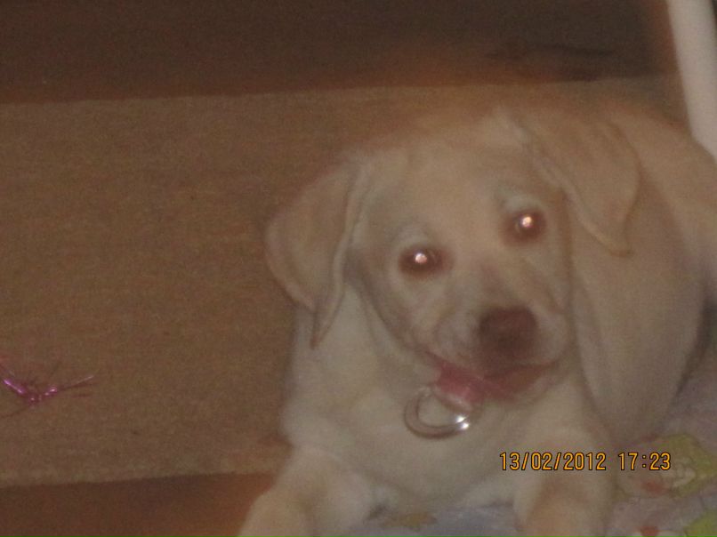 Ваня Лизенков | Энергодар