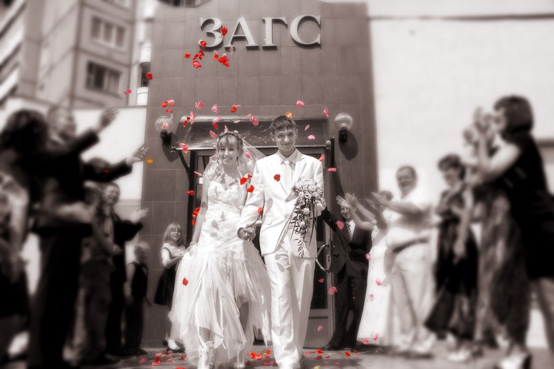 Елизавета Ярмолович | Минск