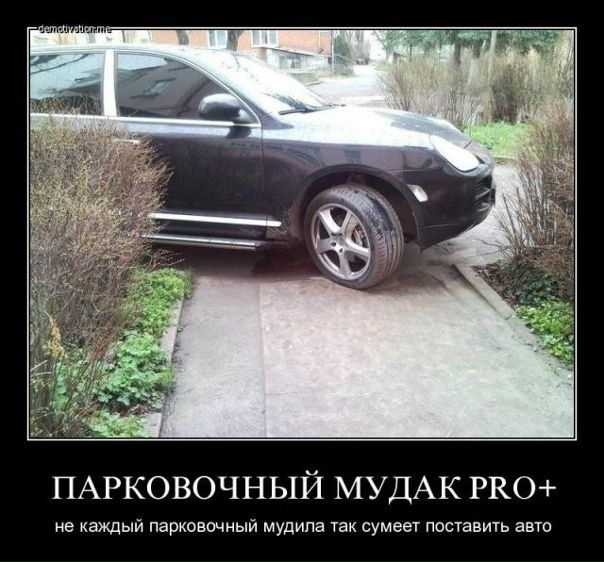 №77, Елена Говоруха, Днепр (Днепропетровск) №77, Елена Говоруха, Днепр (Днепропетровск)