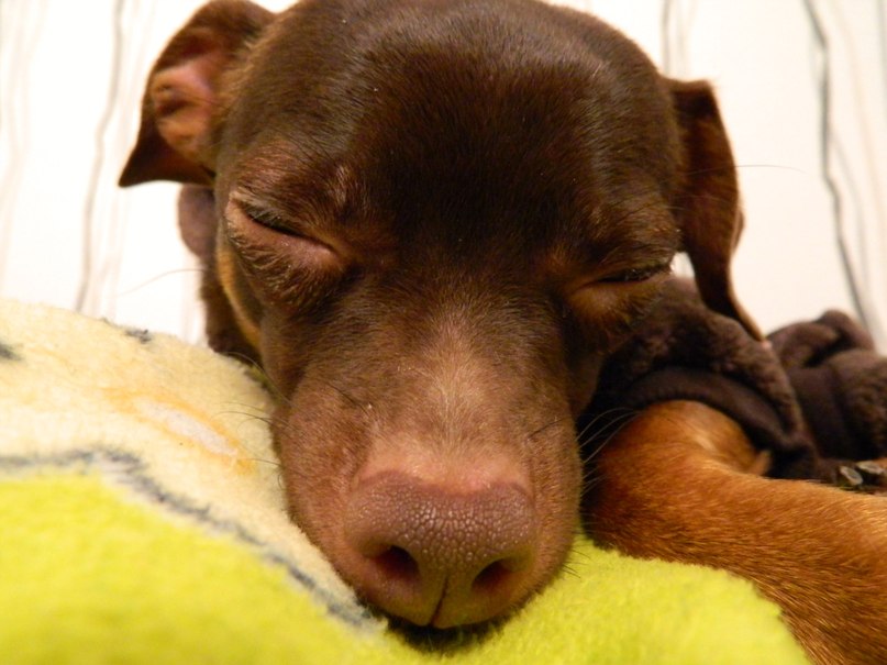 Оксана Бельская | Ульяновск