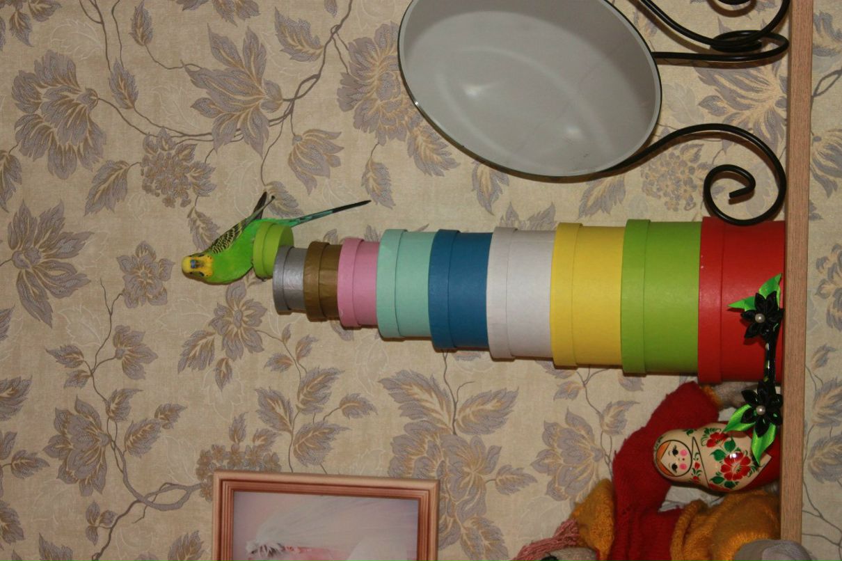 Андрей Сафаров $safar4ik$ | Сургут