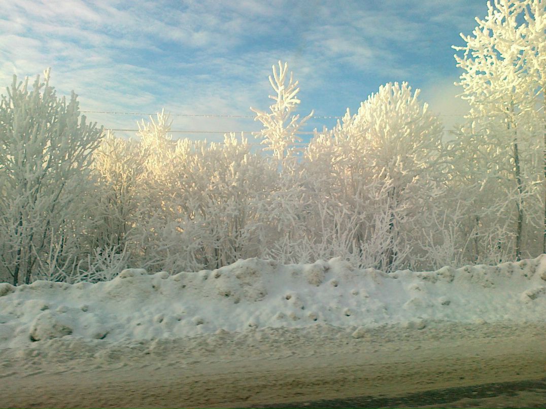 Артем Богданов | Пермь