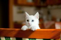 №1 Андрей Иванов 14.11.1980: профиль, фото, статус - ВКонтакте