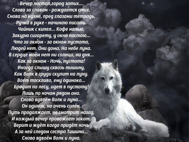 Владимир Нахлупин, Россия, Сыктывкар